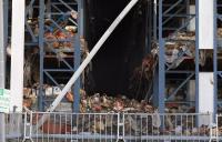 California lawmakers aim to impose new fines, financial requirements for cold storage providers after fire