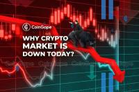 Why is the Crypto Market Going Down Today? (24 Sep)