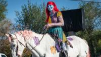 Pet parades, harvest festivals and movie nights: 7 events this week