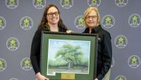 Tree care professionals, projects recognized at 2026 Texas Tree Conference