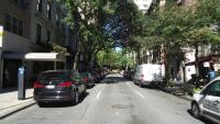 New York extends tree canopy goal to 30% by 2040; experts predict delay until 2042 due to current pace