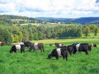 Wheel-View Farm to host open house for Climate Change and Farming Week