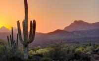 Canyon Ranch and the Rise of Longevity Travel