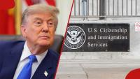 Full list: Lawyer flags 75 banned countries where US visa processing has not resumed