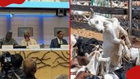 PPR: African leaders back new drive to eradicate viral disease affecting domestic animals