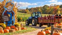 Delaware LIVE ranks the hayrides: Who rules the pumpkin patch?