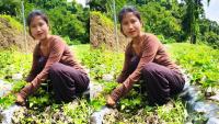 Who Is Z T Lalrithangi? Mizoram Farmer To Receive UN Award For Transforming Strawberry Farming Into A Livelihood