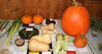 Mere Gardening Club show draws 247 entries as Laura Dawson wins top awards
