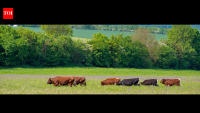 Arnold Schwarzenegger helped raise €1.3 million for environmental projects in 2026; Wild Solutions Park is restoring habitats in Austria