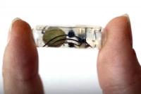 Scientists Develop ‘Edible’ Batteries to Power Medical Devices in the Body
