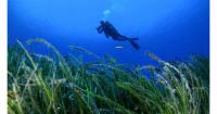 Kalymnos develops partnerships in France to boost diving tourism