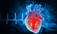 One in three people in Cyprus faces risk of dying from cardiovascular disease
