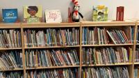 Florida demands proactive school book reviews