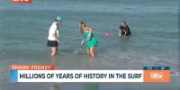 How to hunt for fossil shark teeth in Venice, Florida: A beginner’s guide