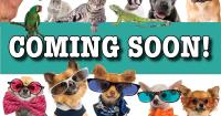 Shippensburg News-Chronicle Announces Upcoming “Cutest Pet” Contest