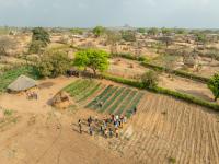 The Rockefeller Foundation and Mission 300 Accelerator Launch Demonstration to Test Whether AI Demand Can Help Finance Energy Access in Africa
