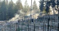 Farmers and Growers: Get Your Ag Pass Before the Next Fire