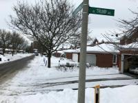 Canadian capital to rename 'Trump Ave'