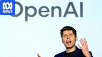 Australia vows AI guardrails after unprecedented OpenAI breach