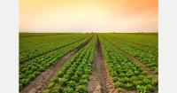 Spanish agricultural organizations call for support in the face of rising costs