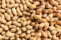 Arkansas to Loan Delta Peanut $5M as it Explores Potential Acquisition