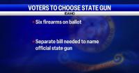 Idaho voters to weigh in on possible state gun in November