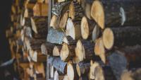 Michigan to ban some firewood in fight against invasive species