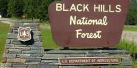 Black Hills National Forest Issues Immediate Fire Restrictions Changes