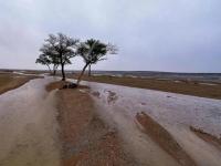 Saudi Arabia issues safety warning as thunderstorms raise flash flood risk