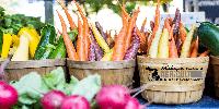 MDARD Partners with Detroit Food Policy Council to Strengthen Urban Ag Local Food Access
