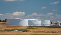 Global energy demand could rise more than 60 per cent by 2060: S&P