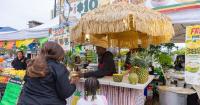 Caribbean culture takes center stage at Reggae Fest
