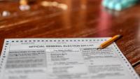 Florida election fraud arrests: Lake City resident among more than a dozen defendants charged in statewide operation