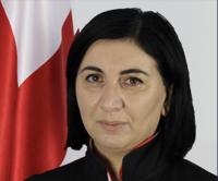 Georgian judge challenges in Constitutional Court law criminalising insults against public officials