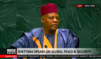 UNGA: Nigeria Demands Two Permanent UN Security Council Seats For Africa