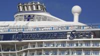Cruise Passenger Fights Royal Caribbean Ban Over Card Counting Claim