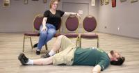 Log Art Theatre to stage comedic thriller 'Who Dunit?' at Westmont arts center