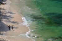 Costa Rica Court Freezes Access to Playa Blanca Marine Wetland