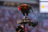 Looking at Shane Beamer’s South Carolina tenure ahead of Alabama matchup