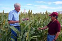 Texas ‘grows’ organic agriculture through education, research and opportunity