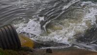 Florida wastewater plant spills 2,000 gallons of chlorine, official says it's 'nothing to worry about'