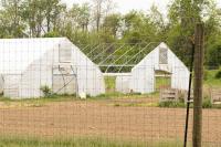 Sobremesa Foundation reopens IU Campus Farm as Daisy Garton Community Farm