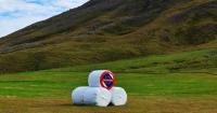 A divided island, a divided left: Iceland after the EU referendum