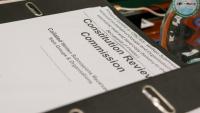 Government clarifies constitutional review participation figures