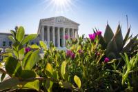 Trump asks Supreme Court to ‘halt chaos’ after court blocks deportations