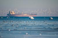 Can offshore wind protect the climate and ocean alike?