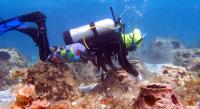 We Are Mayreau reports steady ridge-to-reef progress