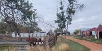 Family farm makes soap from wool