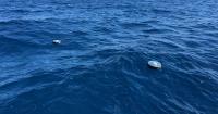 Satlink Drifters Support TecMAReco Surface Current Research