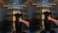 German Shepherd’s Grocery Store Trip Shows What It’s Really Like to Shop With a Service Dog